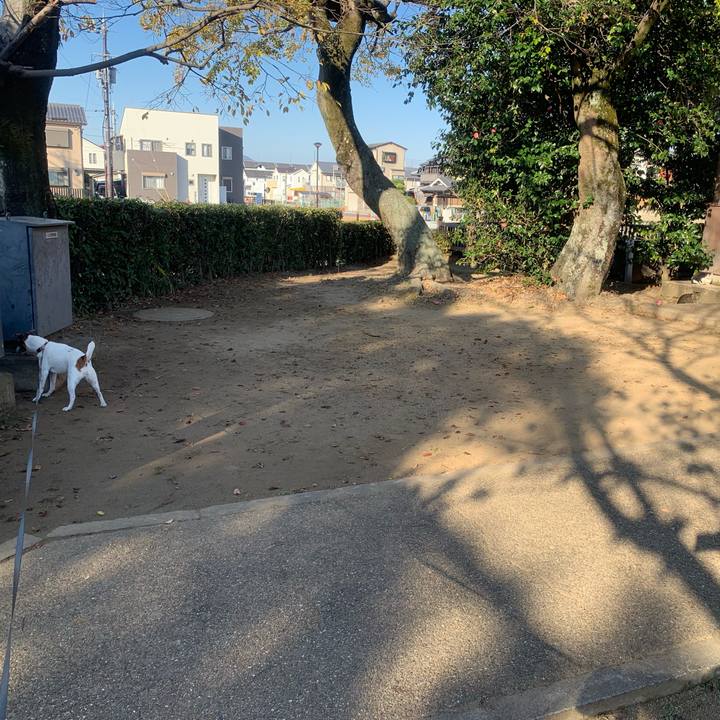 E05af120 6356 4a43 a551 ab2d303a9689 1543151000966