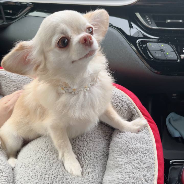 E05b0410 1589 4666 8820 d6d2bf7db471 1726970343528