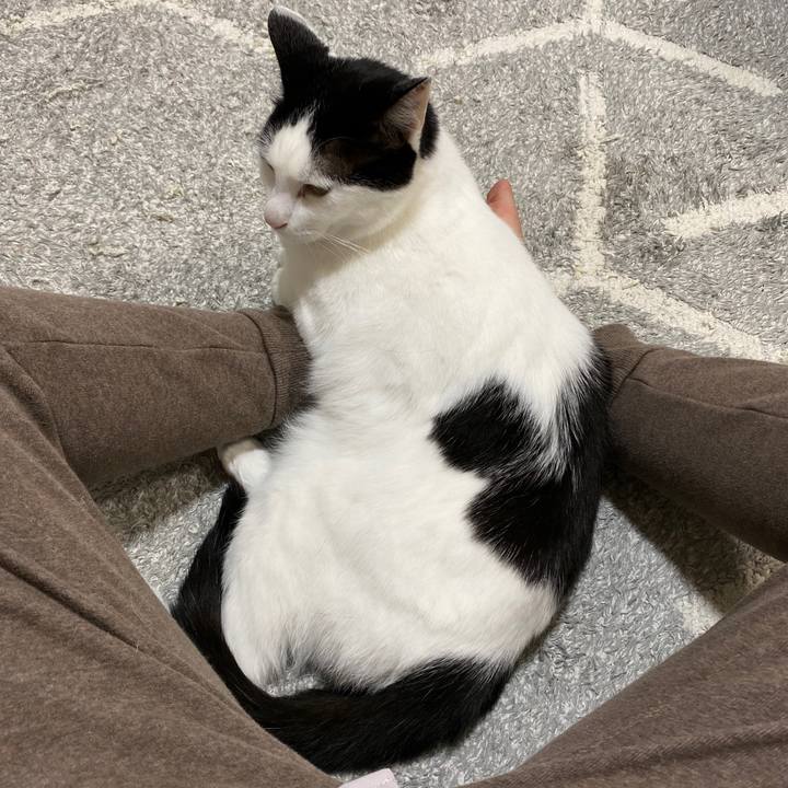 E05b0b42 d4b5 440e a0fe 8f58153c516e 1619862088392