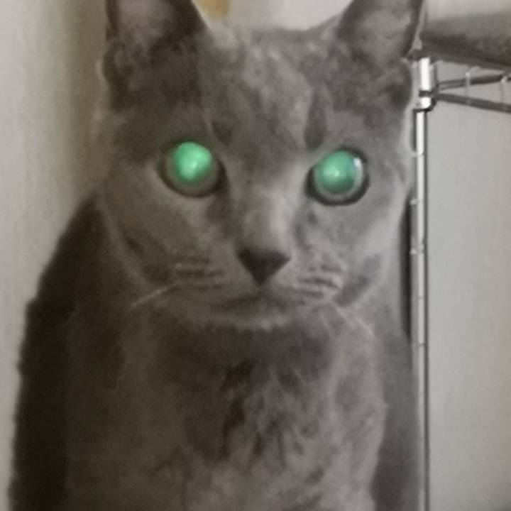 E05b2449 5c87 4a95 8045 ba979da7b5db 1662154648008