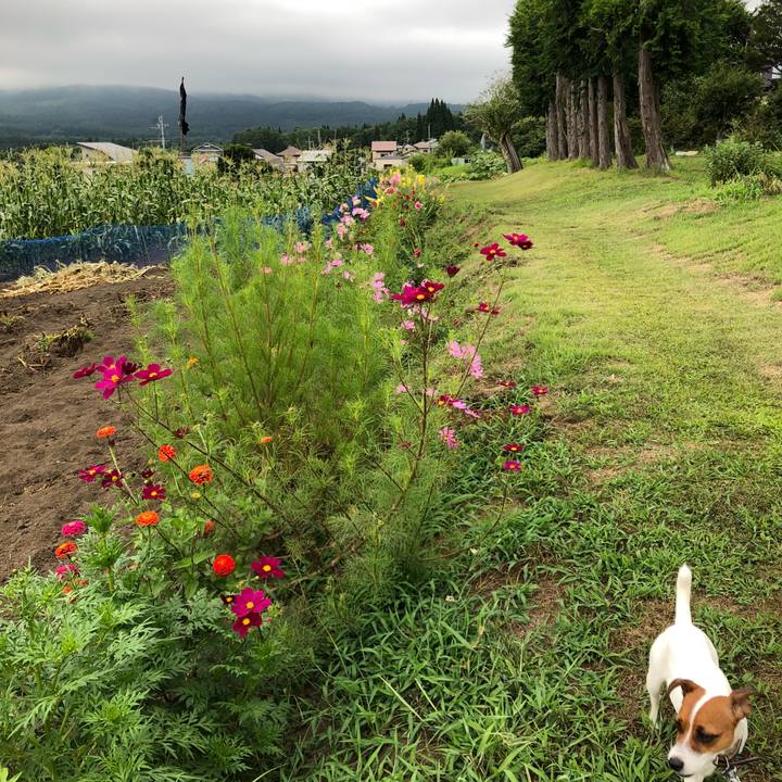 E05b40fd f0da 4b07 896f 6037d321a800 1533726457612