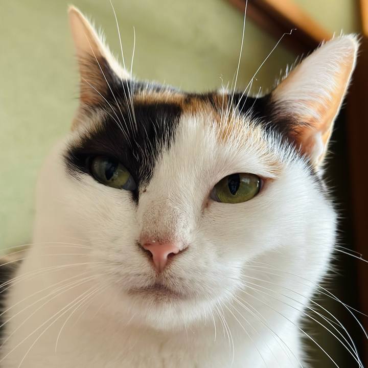 E05b4f5b 63d9 4a11 9298 1d5e80b7b56c 1670896143302