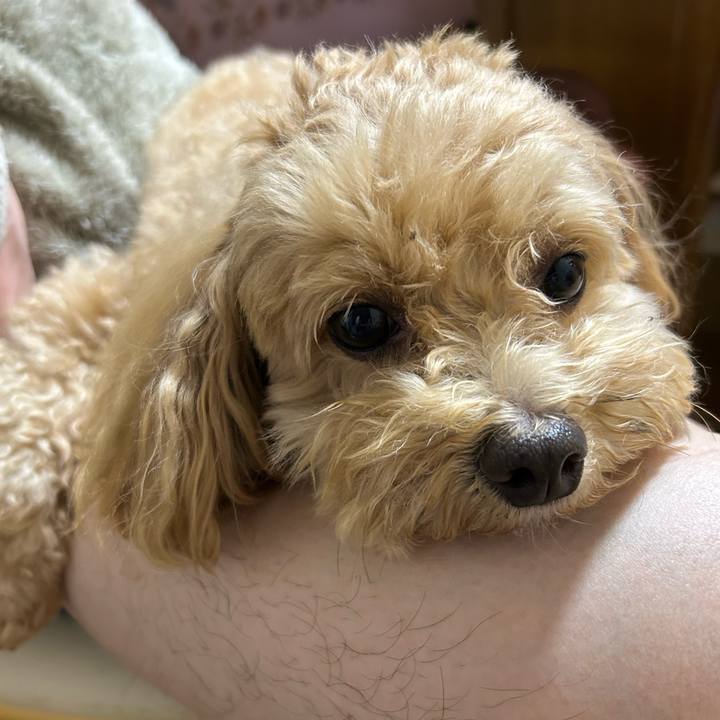 E05b9dc8 6807 400d 8641 7c391c0d12fe 1746224014870