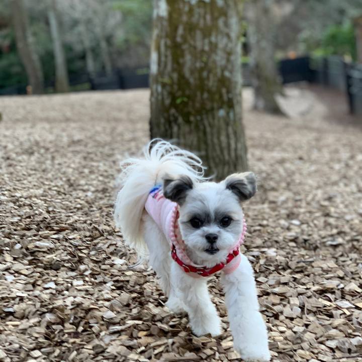 E05ba15b cae2 4654 88cf 5005963cc932 1583999627257