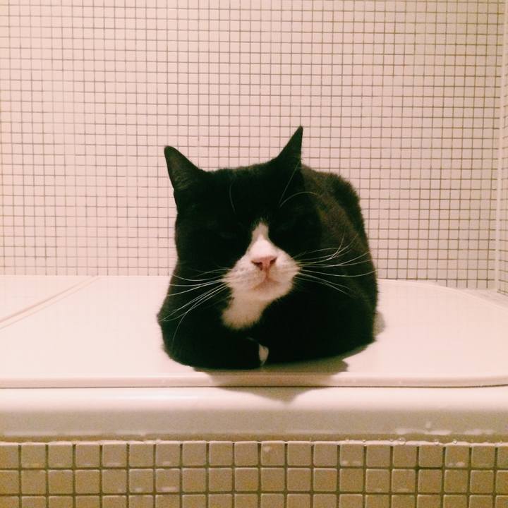 E05bb6bf 0440 42dc 843a 3dc756c96e82 1553520908834