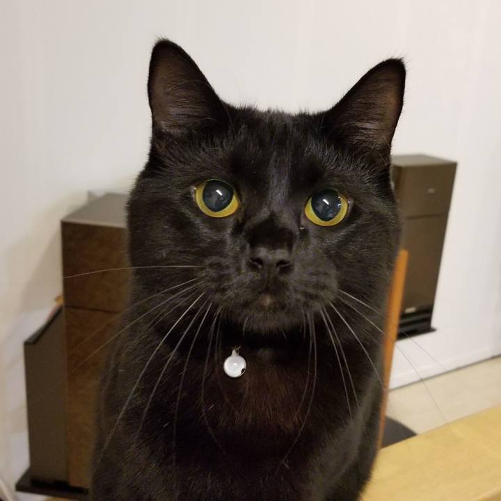 E05bcfc1 bfc5 48d8 835c 1aa4abcd32a9 1516180225672