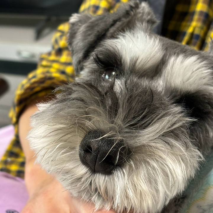 E05bd53d 57ae 4cc9 9c8a 7782ea2dd608 1763371416660