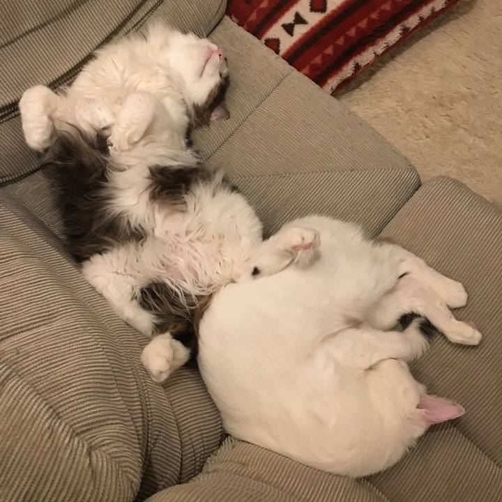 E05bd7bf c8fc 42ba 81d4 b77560230725 1523940393964