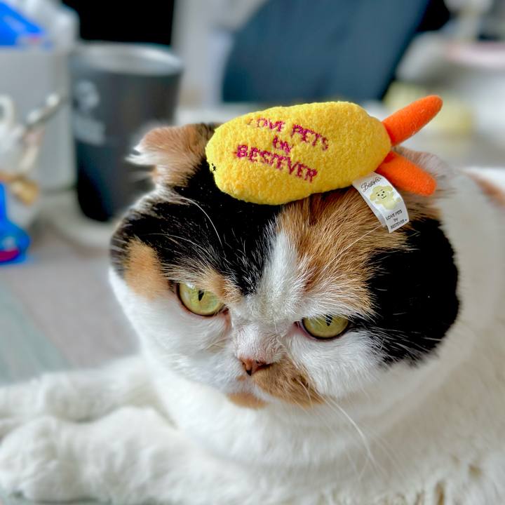 E05be004 af4b 4ea3 bf60 9fc7d501e088 1725071205124