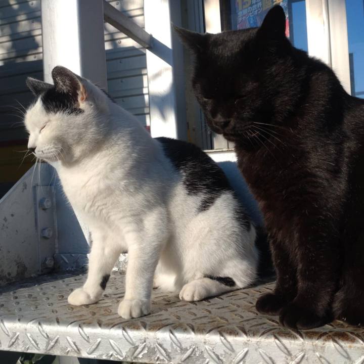 E05c09c9 672b 4511 99a8 61c73f8aec50 1732239148163