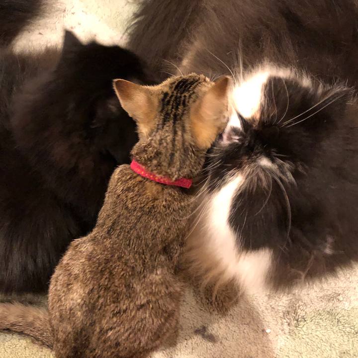 E05c1341 1a10 4611 84aa 45deb159fa81 1550804780866