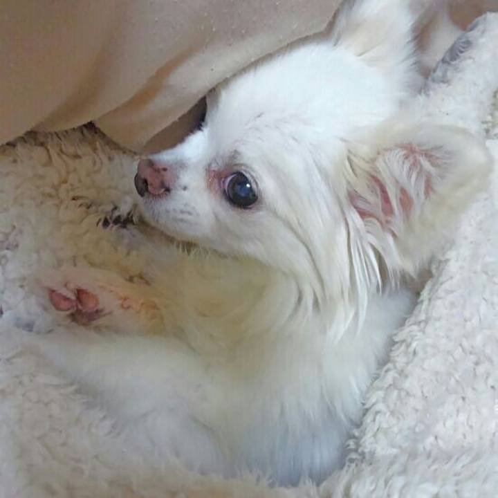 E05c7331 db86 47d6 a41e f3f114999f4d 1546675486654