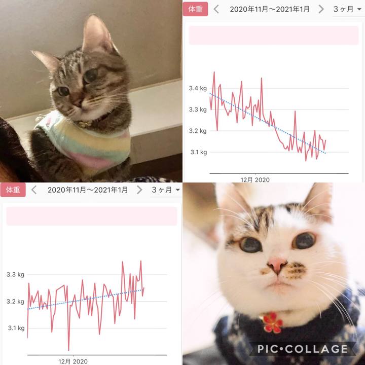 E05c740c d318 4585 8763 147cdee23689 1610856029412