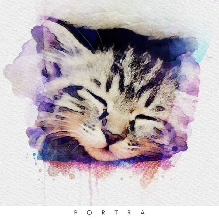 E05ca388 a5db 4656 87de 88cef45ffe0f 1535080595391