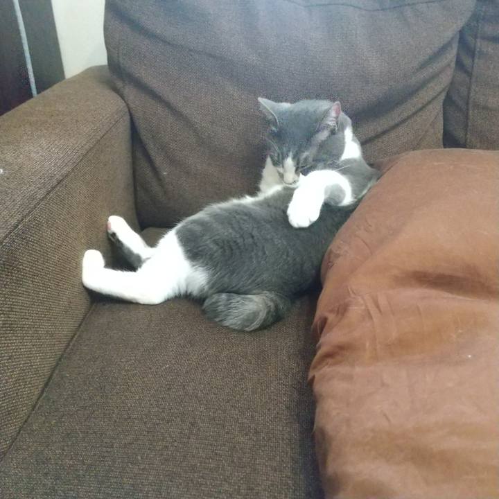 E05cb56f d34f 4671 8a99 edf03d85e968 1642379057733