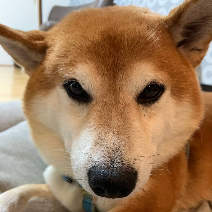 E05cd89b 0295 48c3 a07b 3ebcc3661978 1763150596647