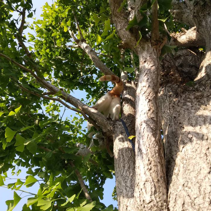 E05d07d7 6f0c 4084 b42b 4394ff18357b 1528015070366