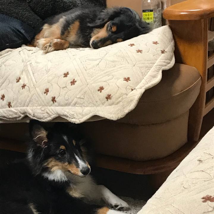 E05d25bc 8162 40ed b829 34e4bbde1cf5 1514676668987