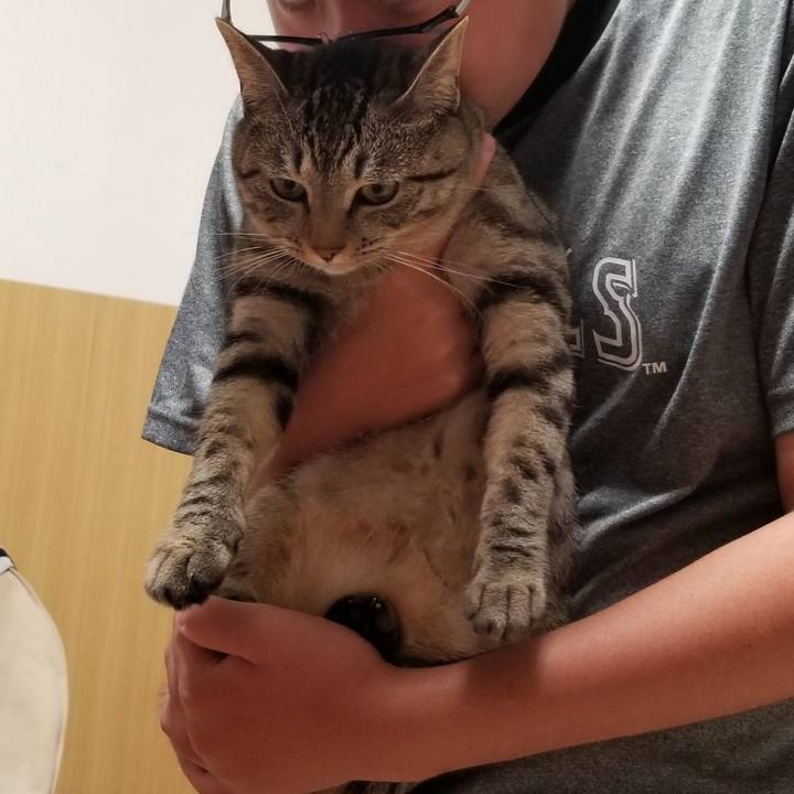 E05d338d caa7 4074 af7f 6dee15437b0b 1690981637955