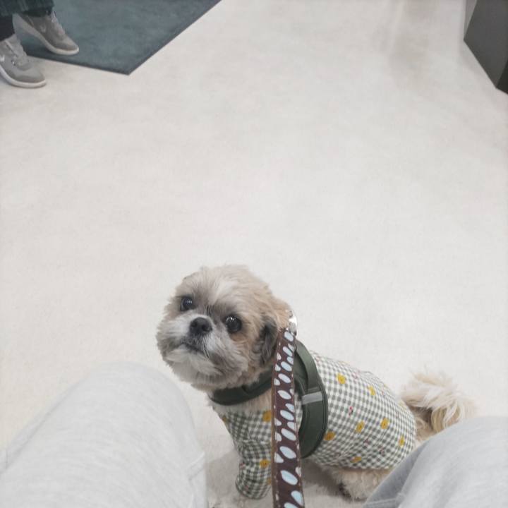 E05d5950 e8cd 47b2 b15e b9bfae4a7d78 1772269727132