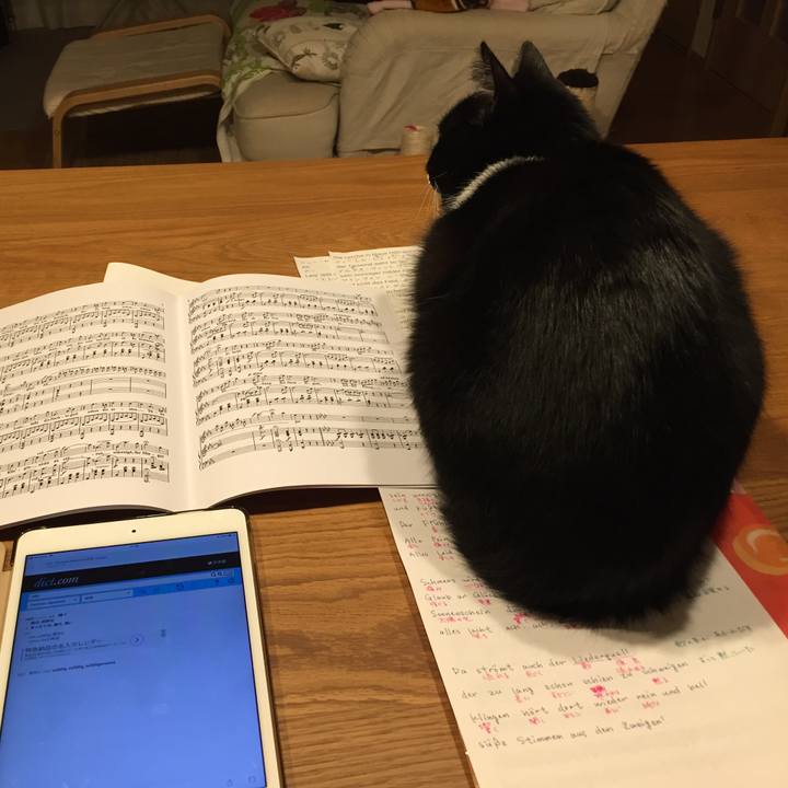 E05d6de1 0638 418d ab28 fe5de10944e9 1510735211347