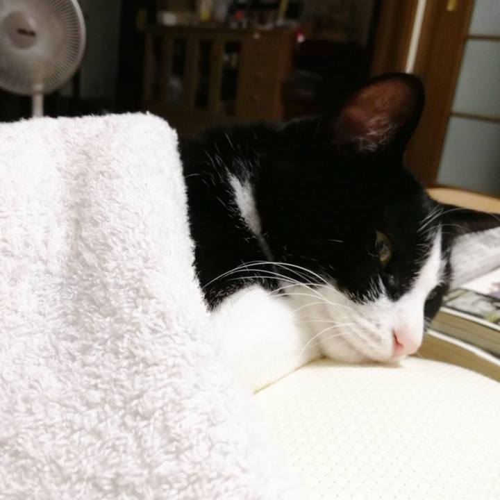 E05d7bb1 d605 413c b85c da9cf759097d 1600403976507