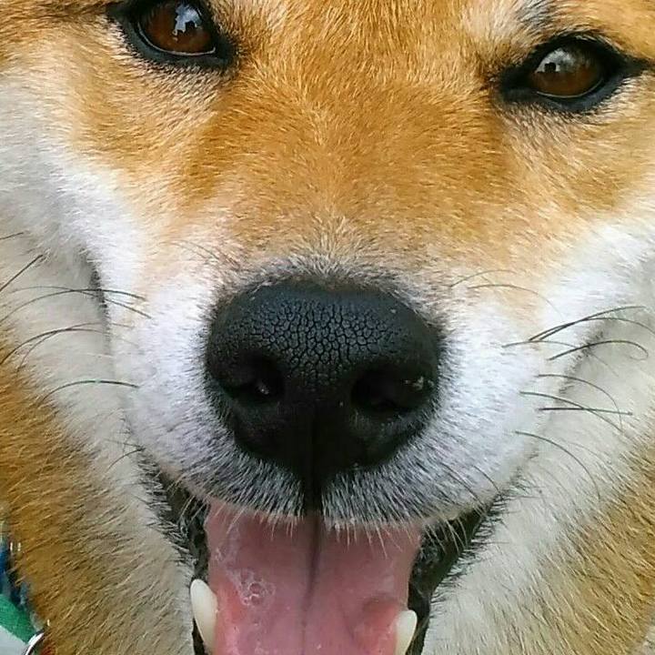 E05d865f 143e 4548 acb9 a9e6262a1b3a 1523368336688