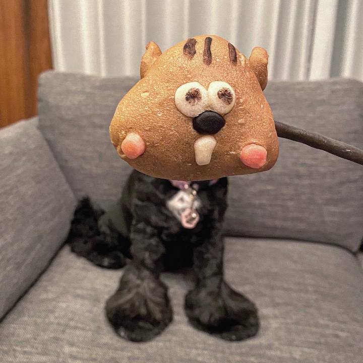 E05dd1d0 1fdf 47d1 b5f2 d92154c7a4dc 1694141555236