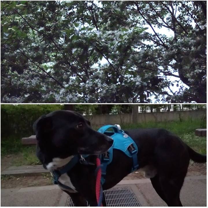 E05de049 0e23 4b08 b9bf 257f9d7d8213 1619347574989