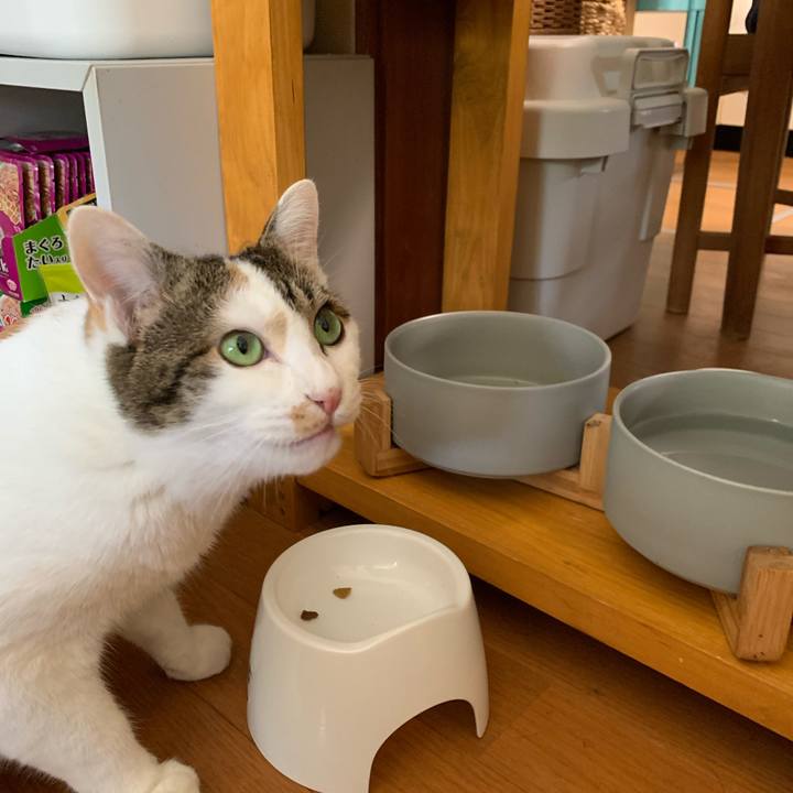 E05e0fbf 3567 40ad 8730 90170baec7fc 1660873212510