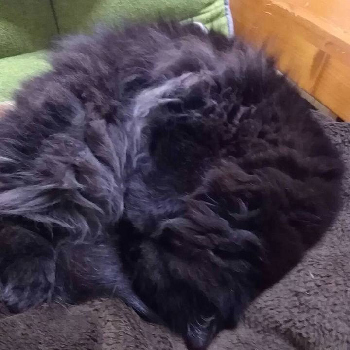 E05e1612 67a6 49c8 bdd3 30681864d1fa 1521463516278