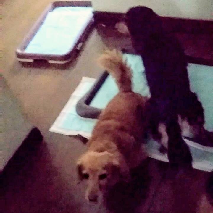 E05e1ebb 20a6 4ad4 94aa 16542c644387 1598013176809