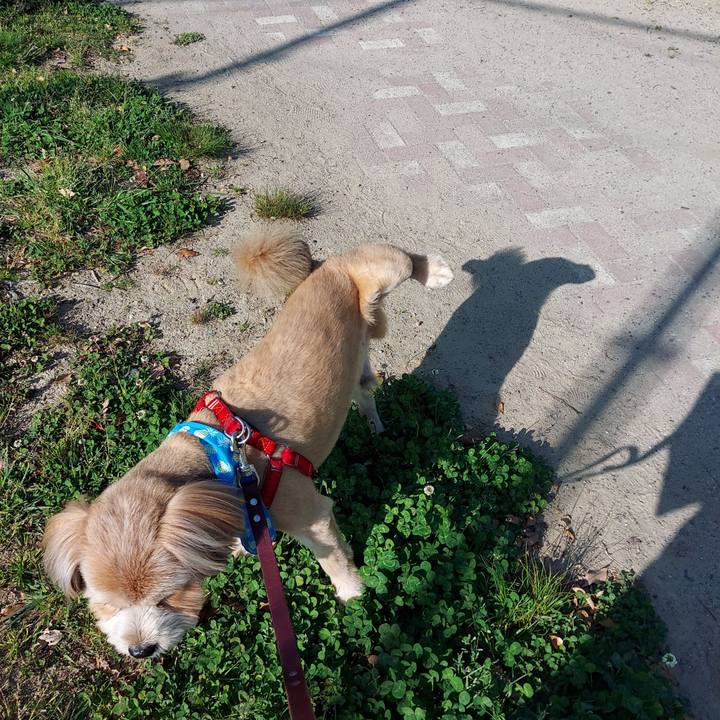 E05e45e4 e2fe 422b b487 799e24ccc942 1618906140191