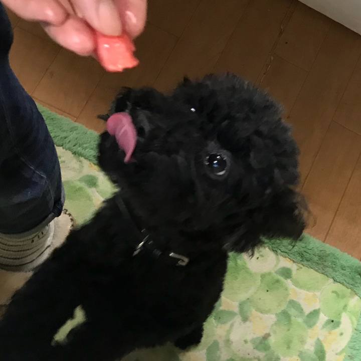 E05e5f8d 0c66 4841 8381 141d67d0beeb 1533731049879