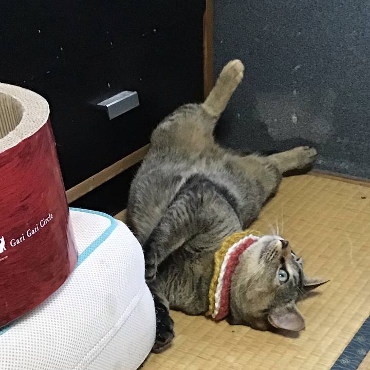 E05e7643 033f 47d3 af5a 01fc08b799d4 1622366643405