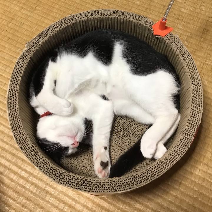 E05e7a25 c101 45d8 8319 4e982d0a88c0 1630657504536