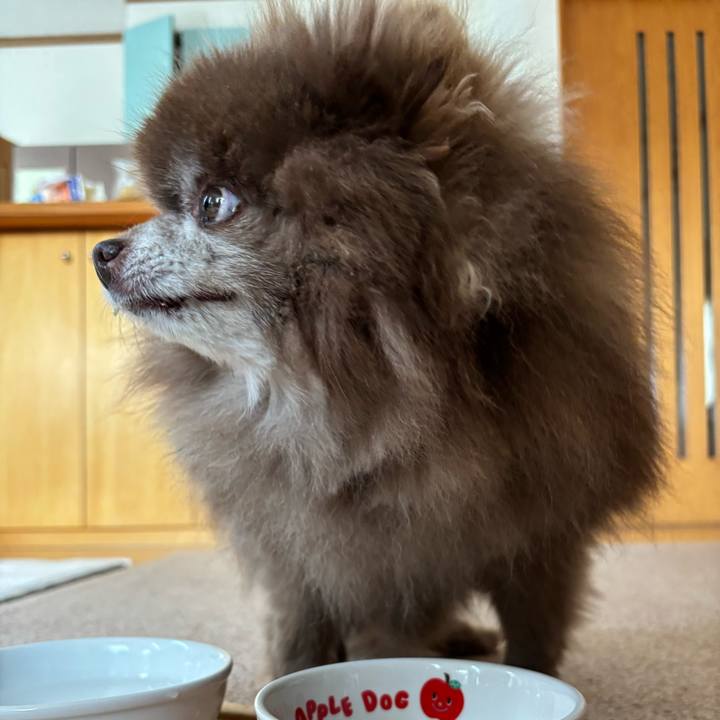 E05e7cb9 aa84 4ded 8991 b87a8d18f895 1746490228193