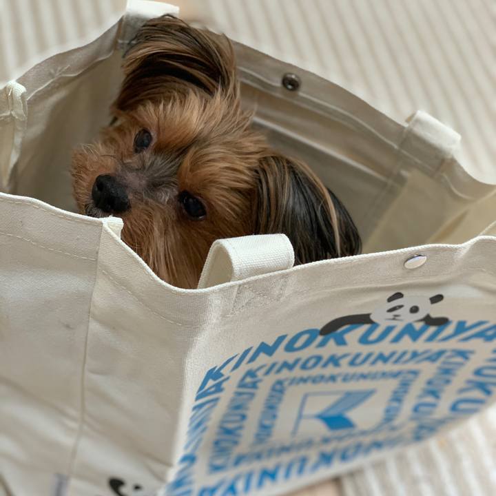 E05e939a f304 4160 8f97 3a5bd96b08bd 1609819247263