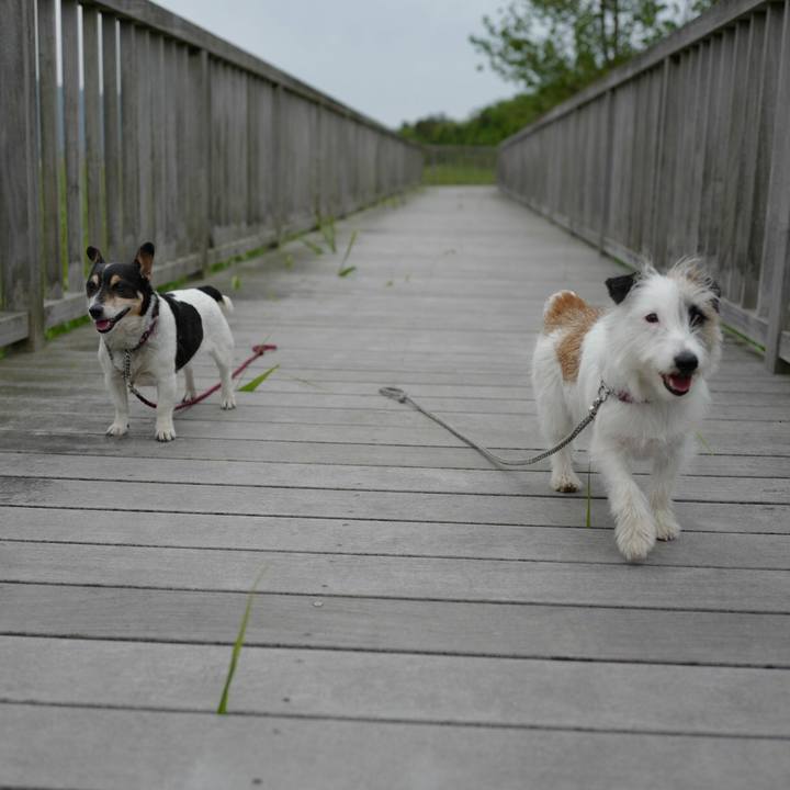 E05ebd4d 93a5 4fef 95d1 980c3de0f7bc 1525666545869