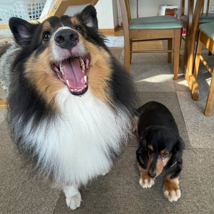 E05ec061 86ca 40d5 b2a8 29cf81bd7a29 1627856042616