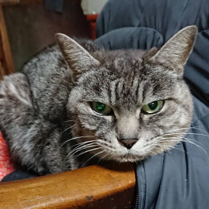 E05ecd85 dfcd 4c8b 8e0a 1b6e16517a19 1608582371133