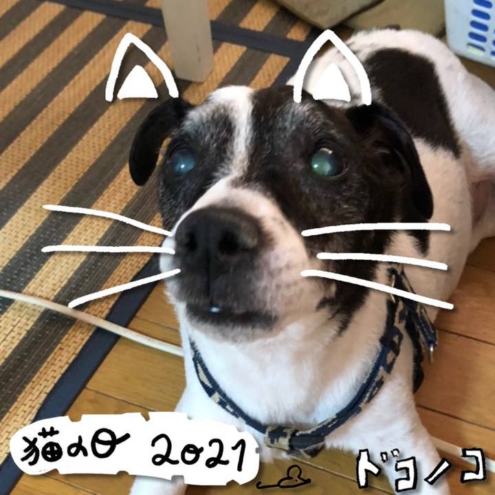 E05f0798 ad93 436c 8a6d c7dfbab6b677 1613965025524