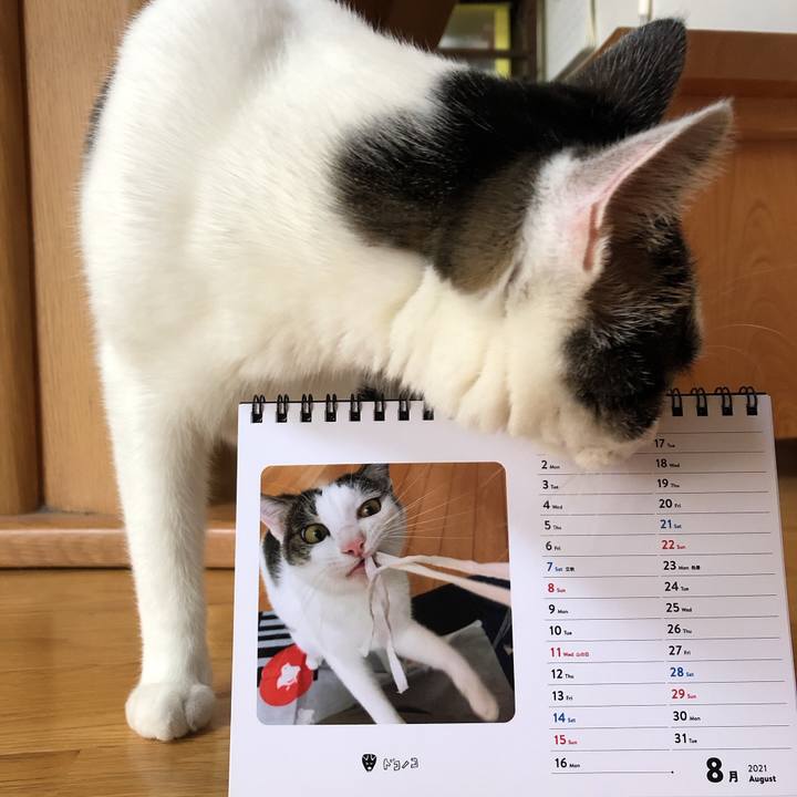 E05f67f4 2bbf 4a0c 9562 80750ab56773 1627770122816