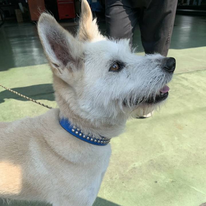 E05f9f70 21dd 4d4c 8ad8 1aa6f9a0fa2a 1564580824834