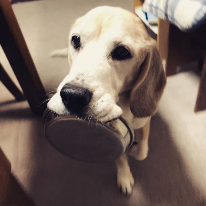 E0602998 bee9 40c4 bfaf ba6c4ec99772 1609333644293