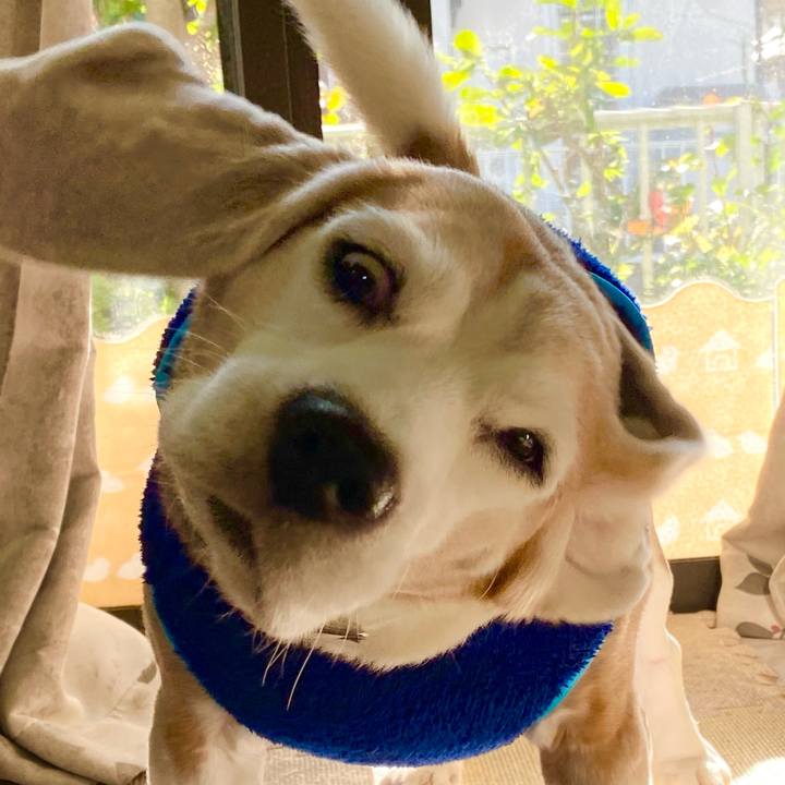 E0604c2b 6ac7 4c38 976a 7af1f4a66224 1605326129580