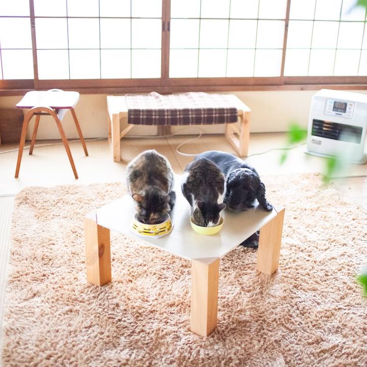 E0604f19 b5aa 4764 a122 287b3a8fdd29 1581829696875