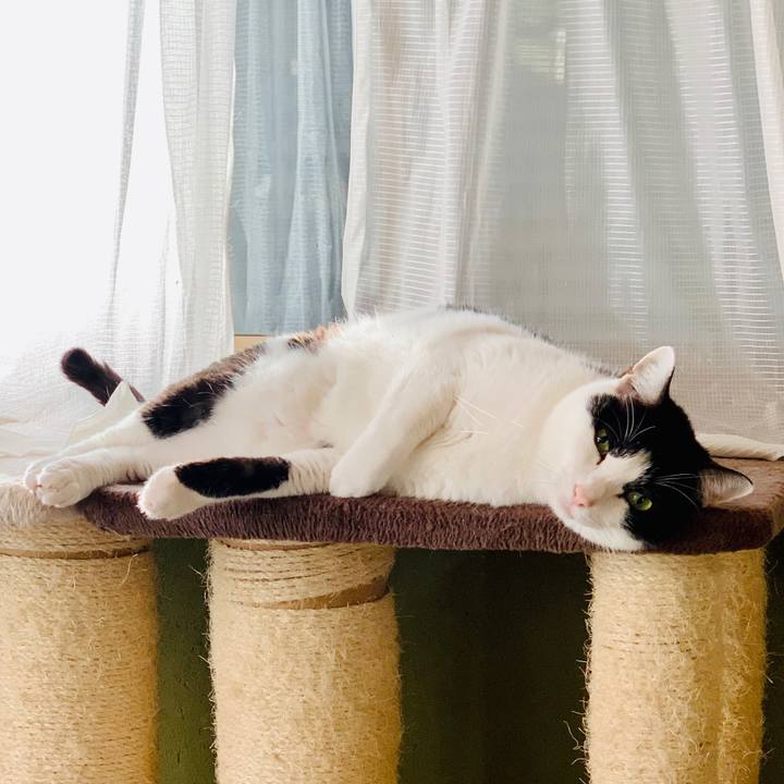 E06053c2 5455 41a1 99b4 9828c1740670 1606011845716