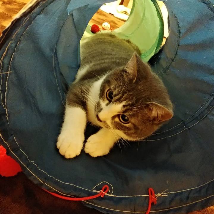 E06060bd 4c9a 4a27 8197 768e9211bf2f 1575472717403