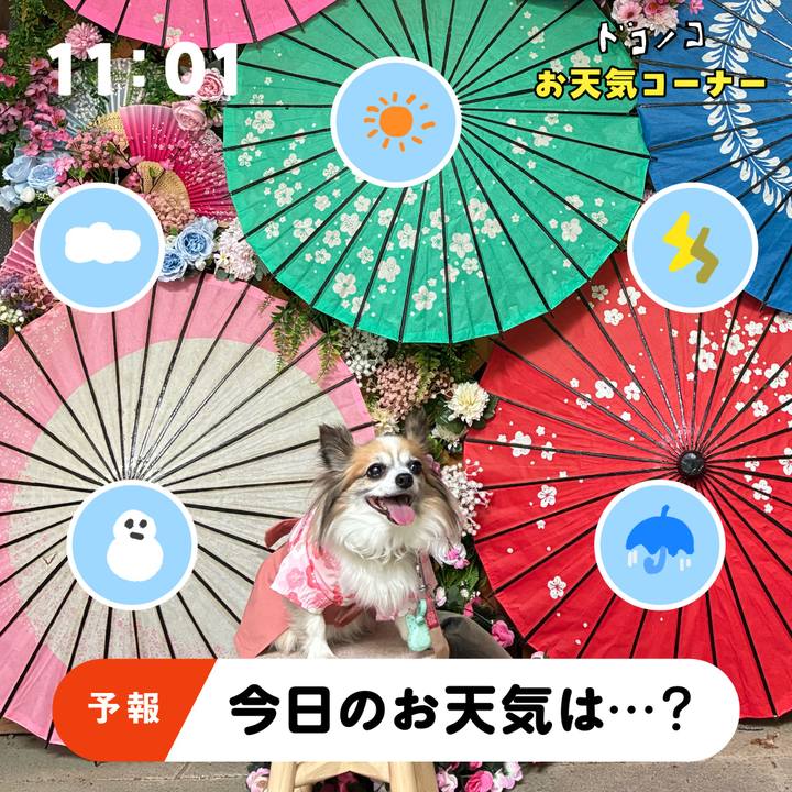 E060a22b b980 4a84 b620 cad0081c8901 1781938315853